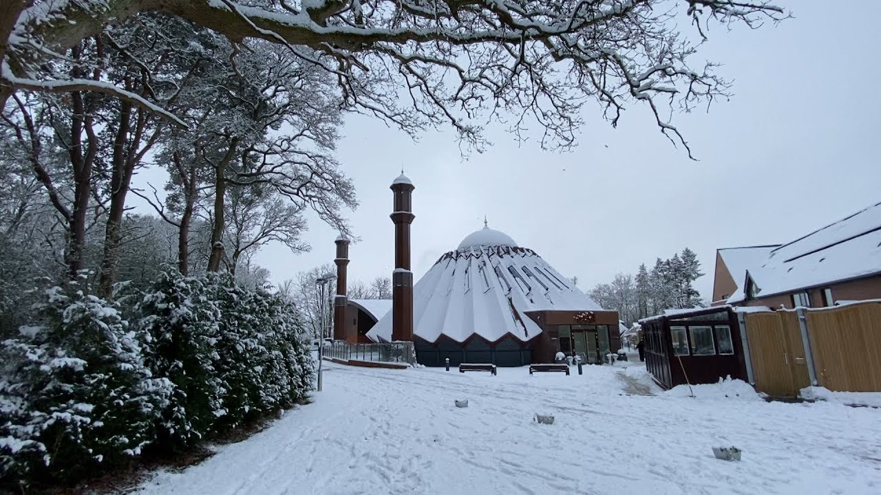 This Week With Huzoor - 29 January 2021