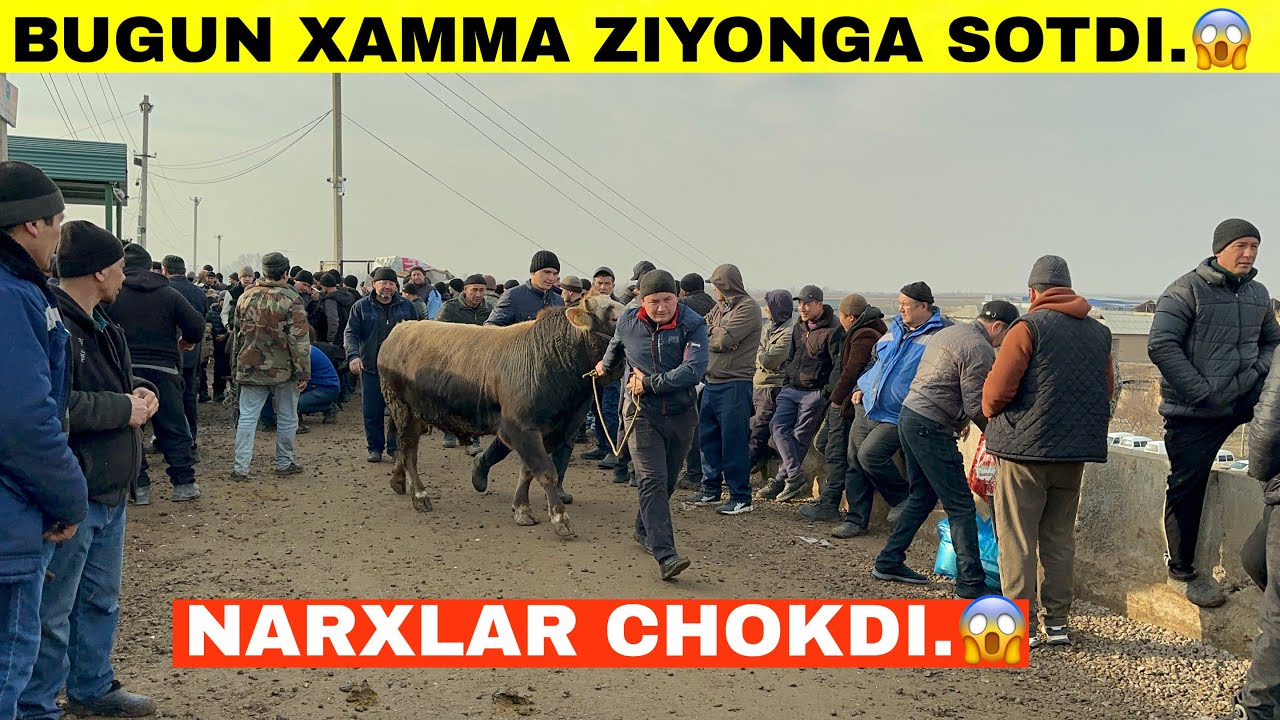 BOZOR NIMAGA PASLAYAPTI.🥺SHOXIDON FAQAT SOTILGANLARI#2025 #2026 #molbozor 