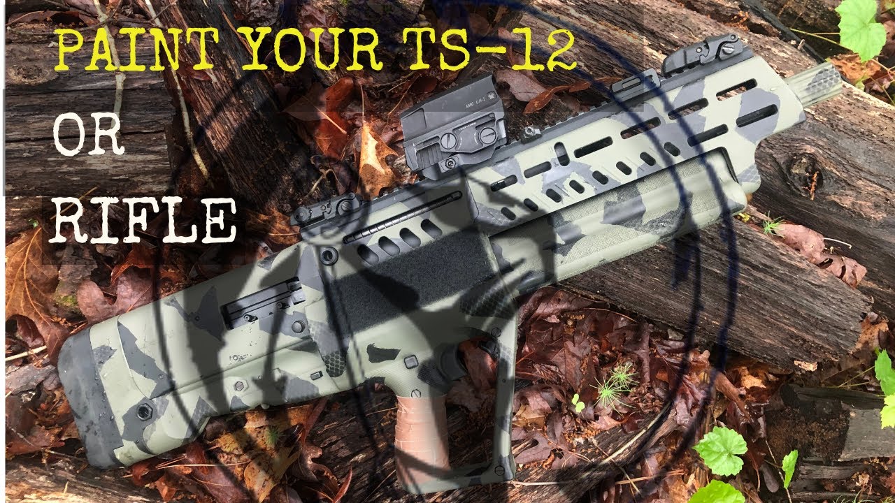 PAINT IWI TAVOR TS12 OR RIFLE | PLUS BONUS AT THE END!