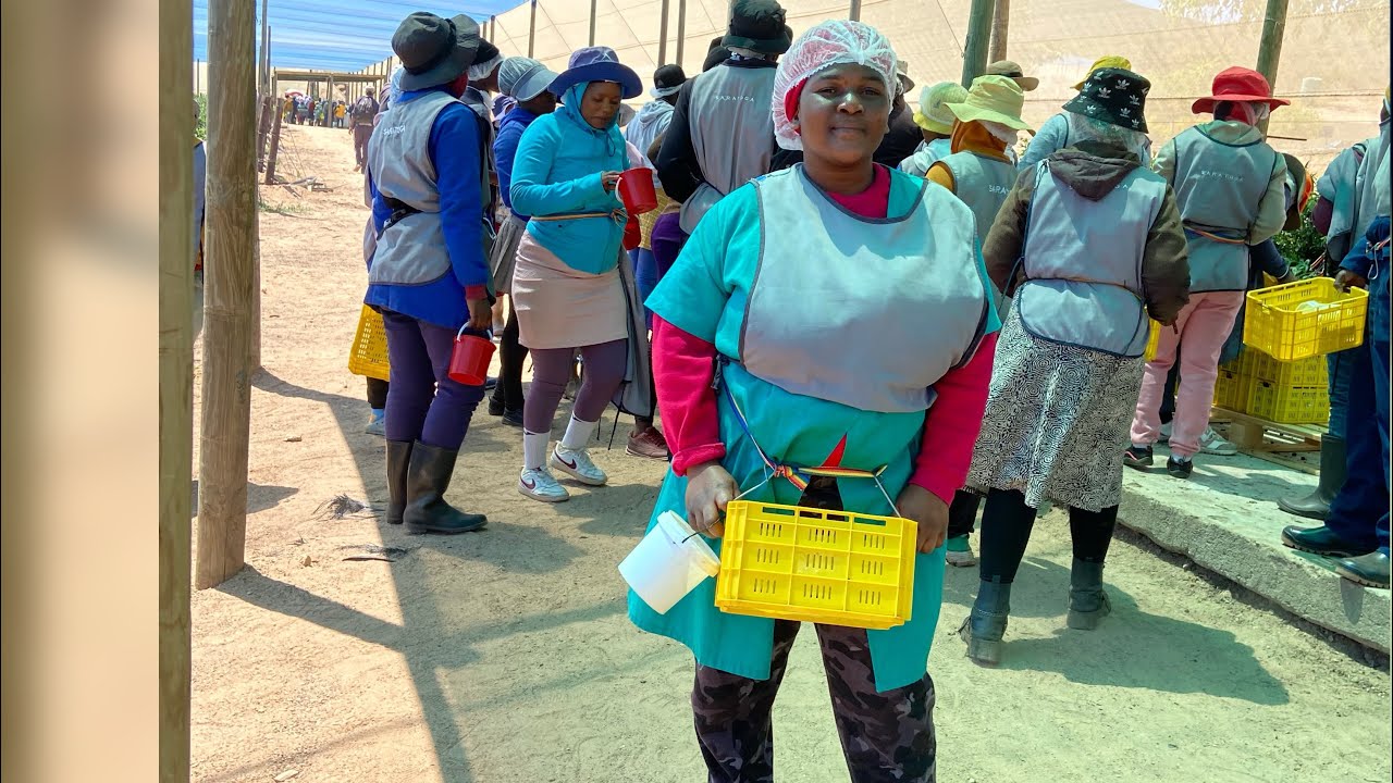 Unseen efforts,unspoken struggles:Zimbabweans thriving in SA😭🙏