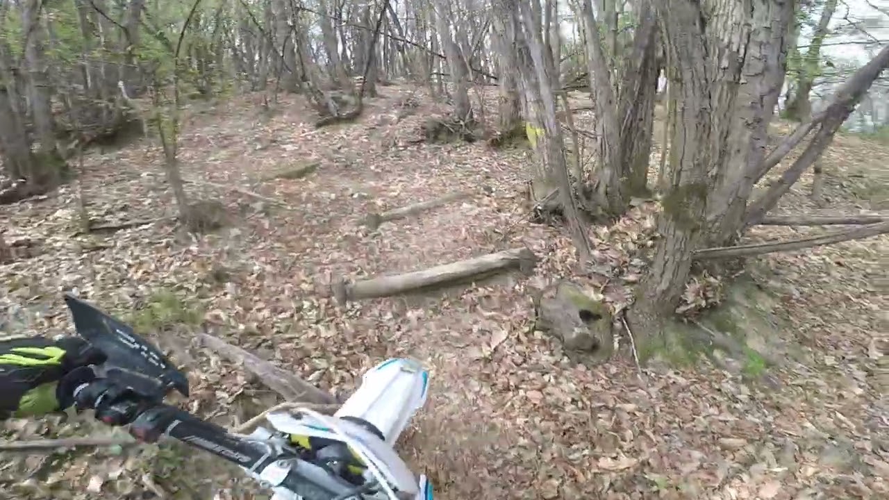 Enduro 12/04/25 - il Topo insegue il Pupillo