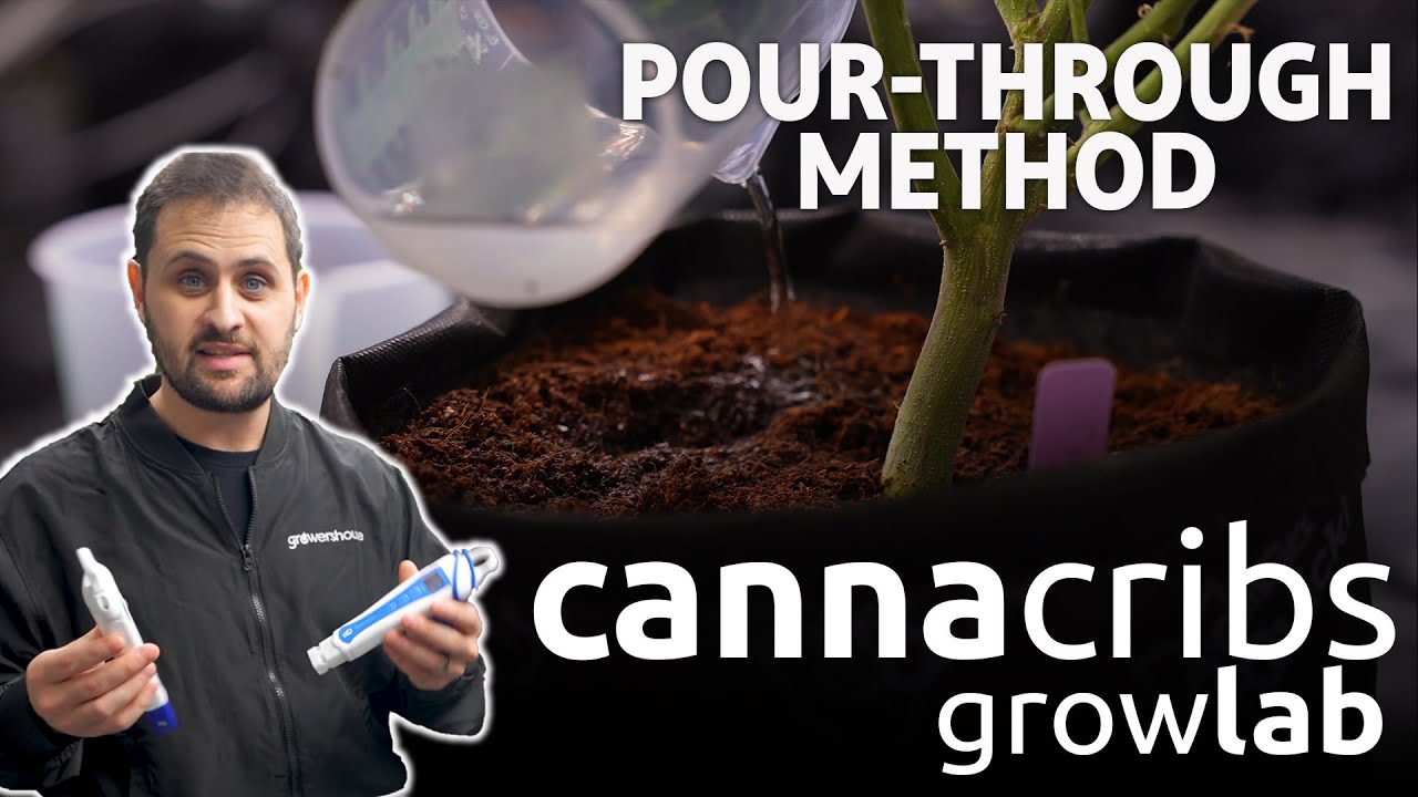 Analyzing Runoff with the Pour-Through Method: Cannabis Cultivation