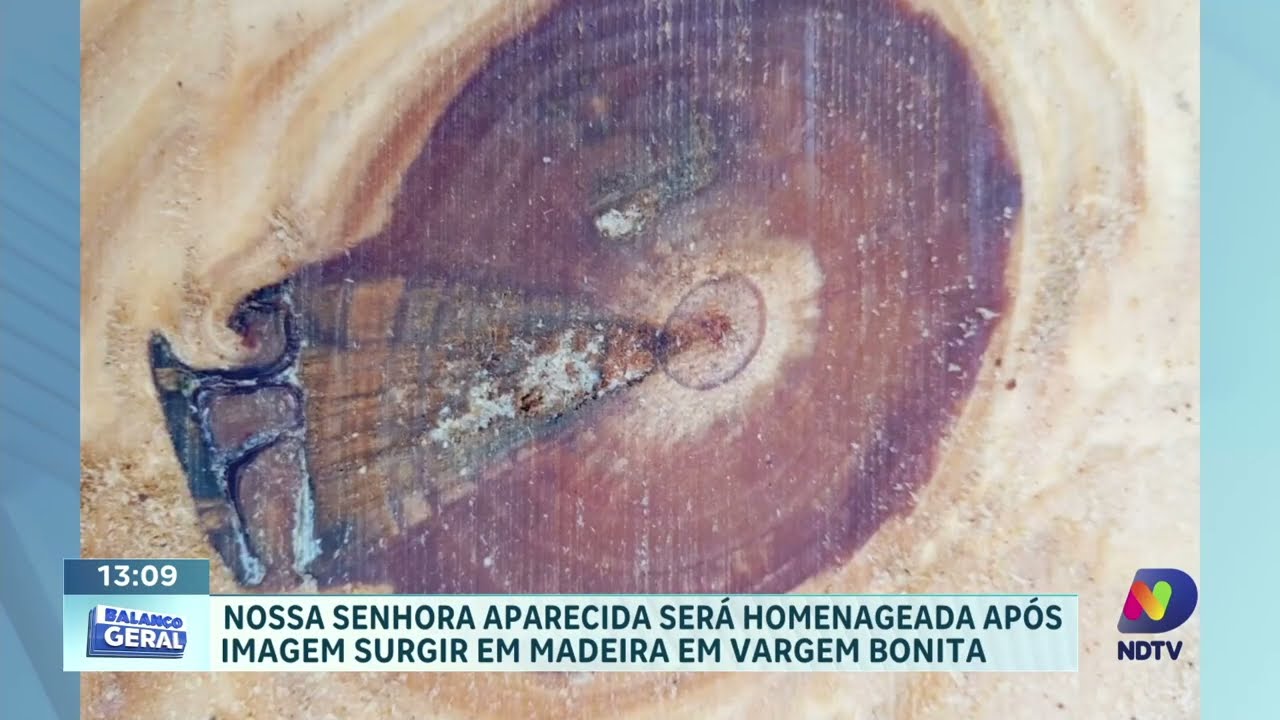 Morador encontra imagem de Nossa Senhora Aparecida em árvore no Oeste