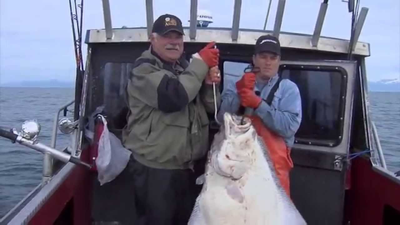 NFL's Larry Csonka Catches Cook Inlet Halibut