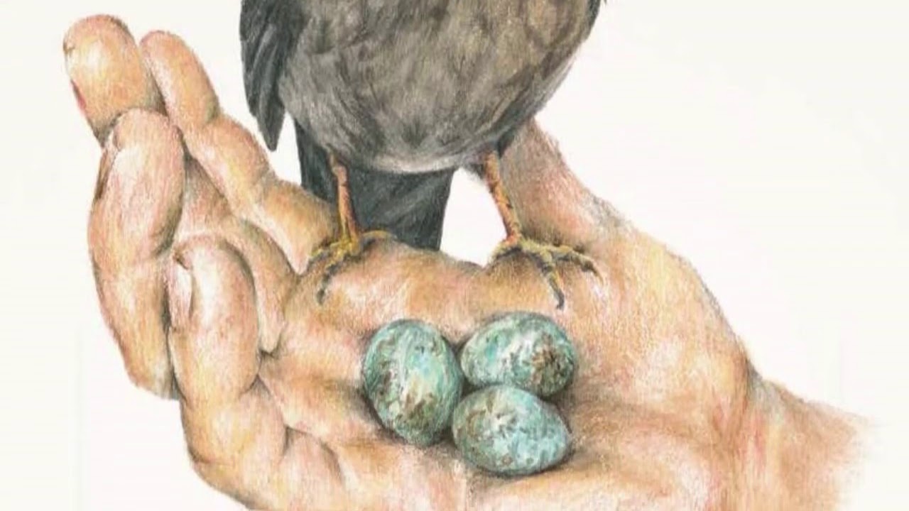 Reading Saint Kevin and the Blackbird with Greg Kennedy SJ