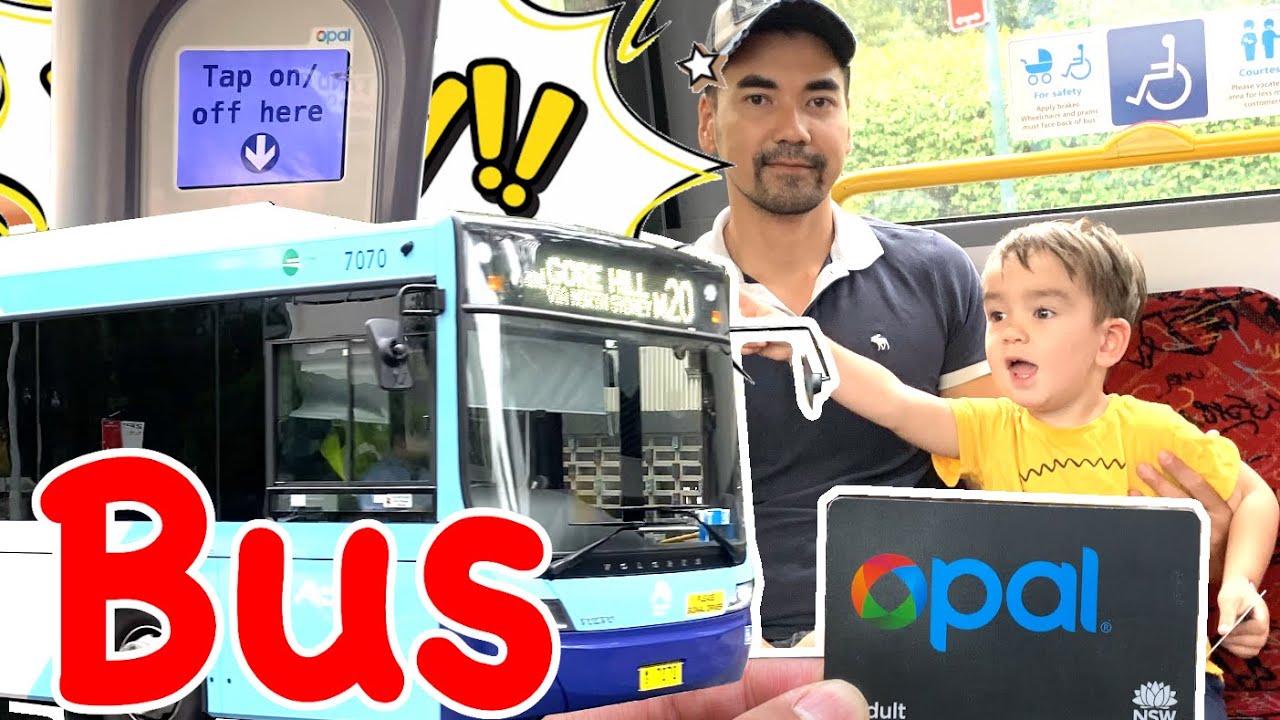 Bus For Kids | How to take a Bus in Sydney