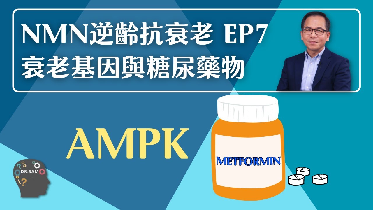 NMN 逆齡抗衰老系列 Ep7：抗衰老基因AMPK 與糖尿藥物 Metformin💊 | 逆齡抗衰老⏪ | Dr. SAM🥼