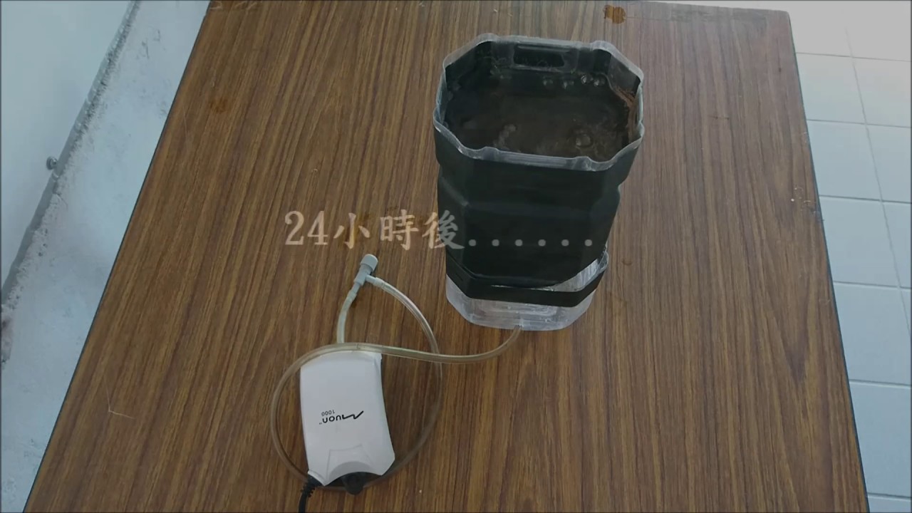 【豐年蝦】深水式孵化法