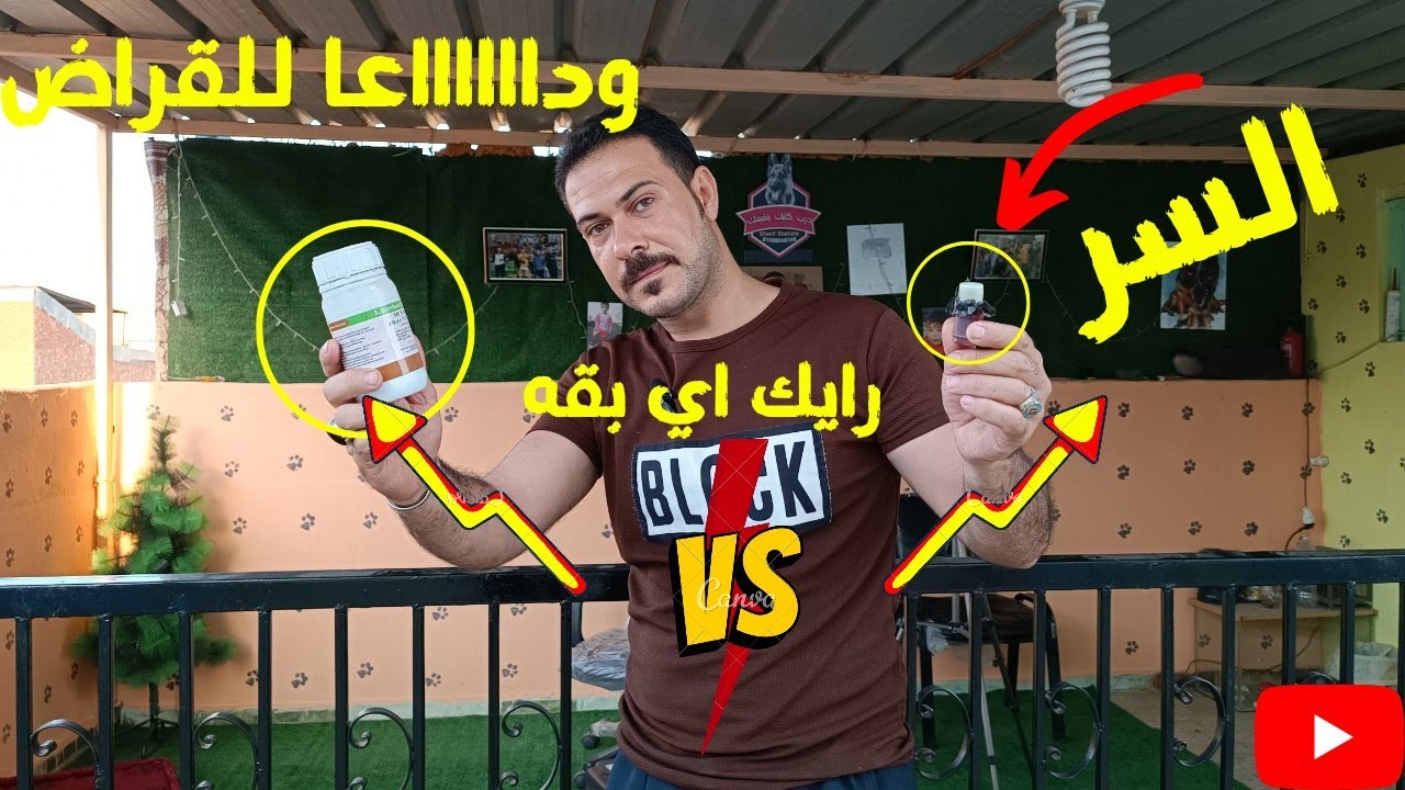 وداعا للقراض 💪جبت ماده جديده بس جابت من الاخر