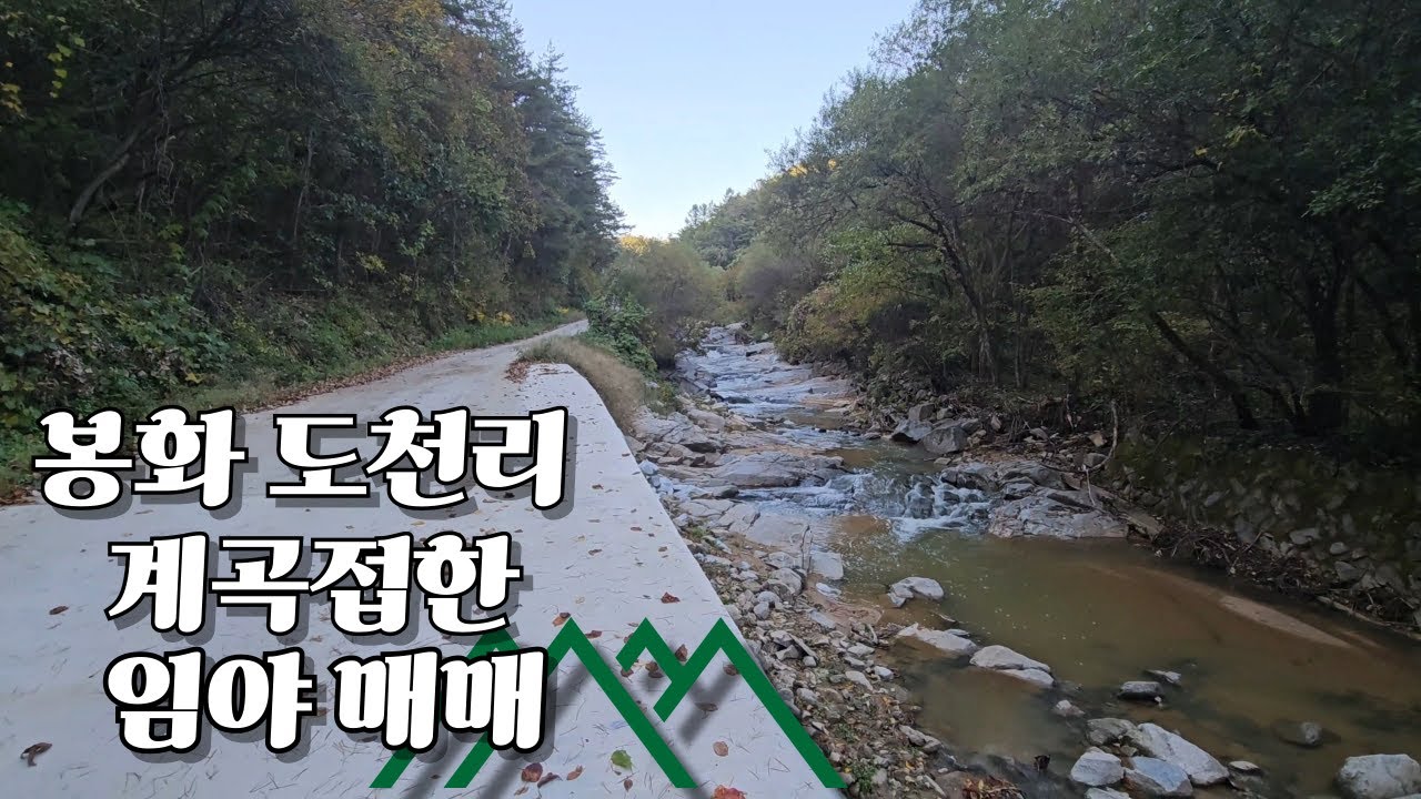 경북 봉화군 명호면 임야 매매(물건번호54)