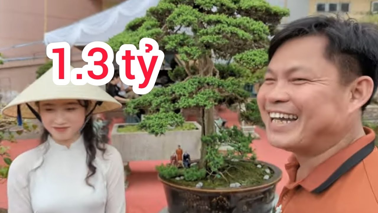 hàng chợ 1.3 tỷ cây tùng cối và rất nhiều tác phẩm huyền xuất sắc được anh dũng cô ca đánh rất cao