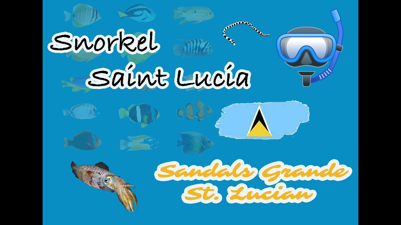 Snorkel Saint Lucia - Sandals Grande, Gros Inlet