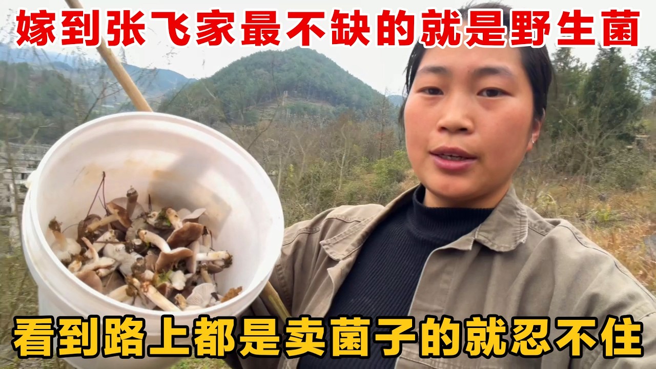 嫁到满山都是菌子的婆家是什么体验？看到路上都是卖菌子的就忍不住，一个人都要上山去捡