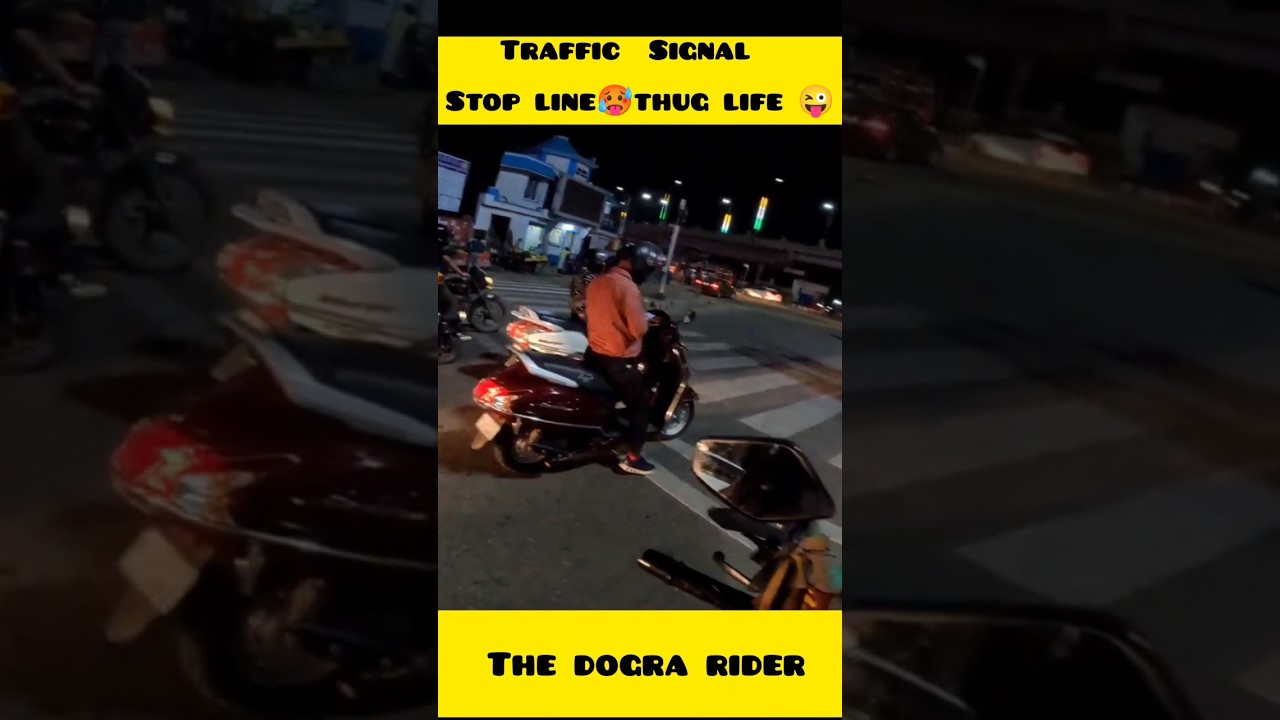 Violations of Traffic Rules 😰 Stop Line 🥵Zebra Crossing #shorts #thedograrider #viral