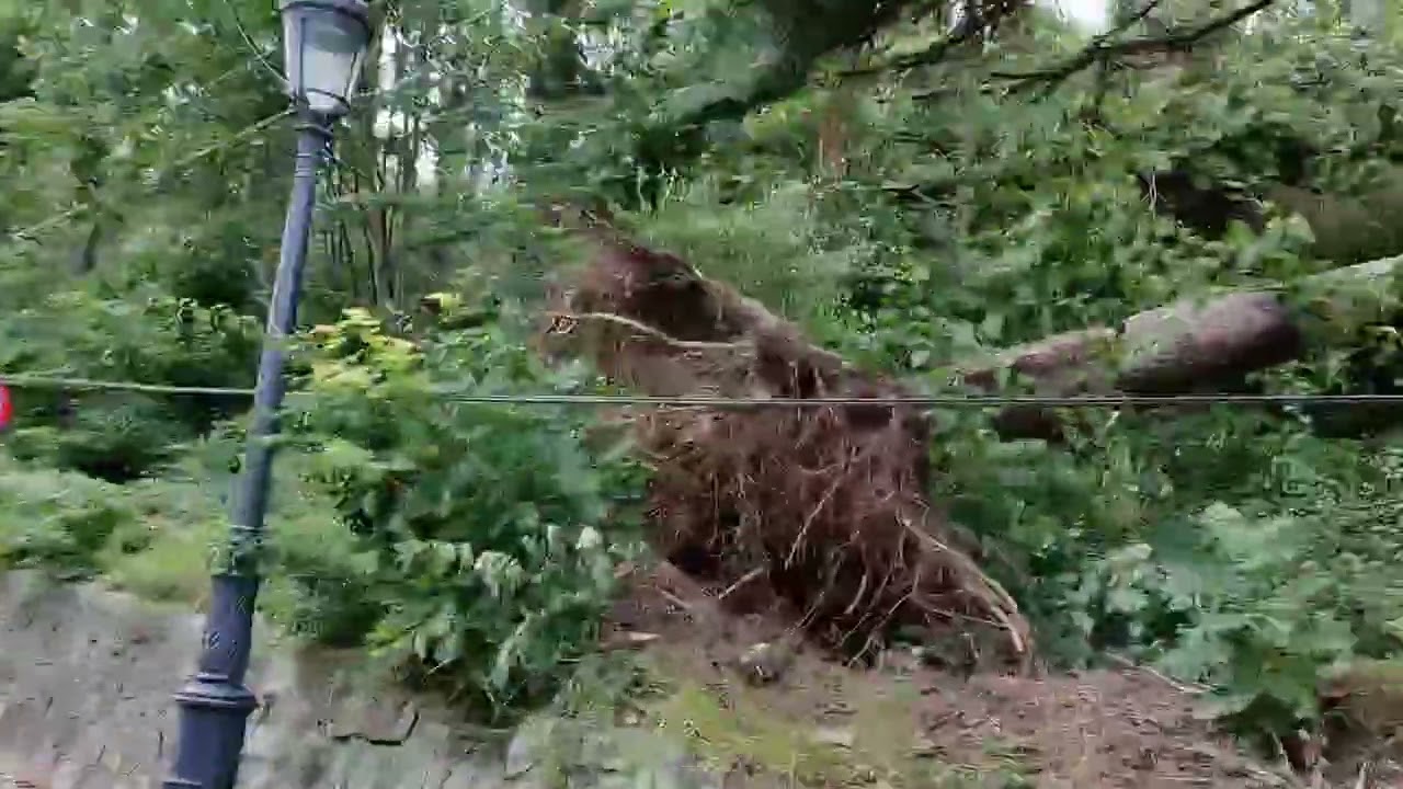 PLIMBARE CU PRIVICARUL IN SINAIA 2025  VID 20250715 WA0014