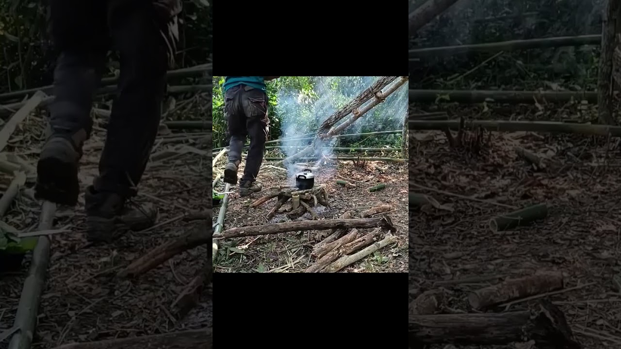 HANGING ROOT BUSHCRAFT! 🤯 Building a Bamboo Shelter in Massive AERIAL ROOTS  🌿🏡
