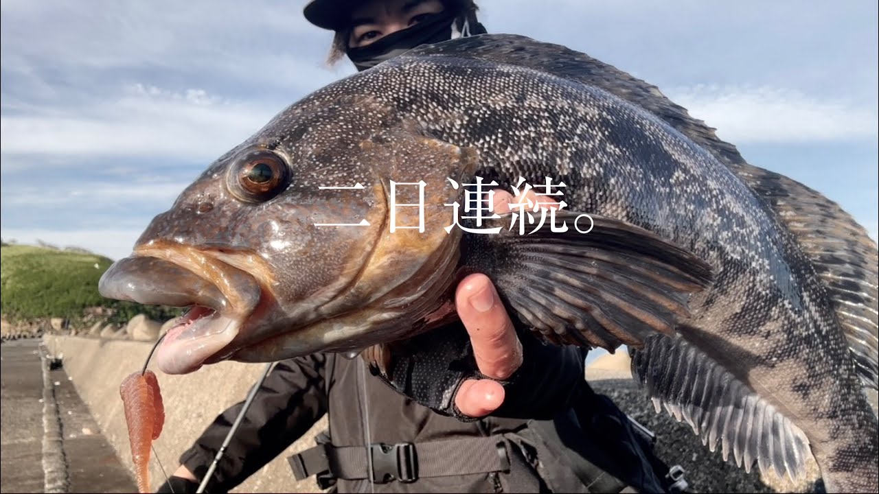 週末2日間は室蘭沖堤で決まり【アイナメ】