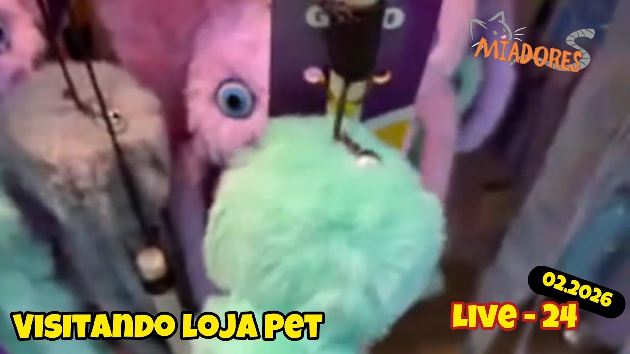 24 - Especial - Fui no Shopping de Pet