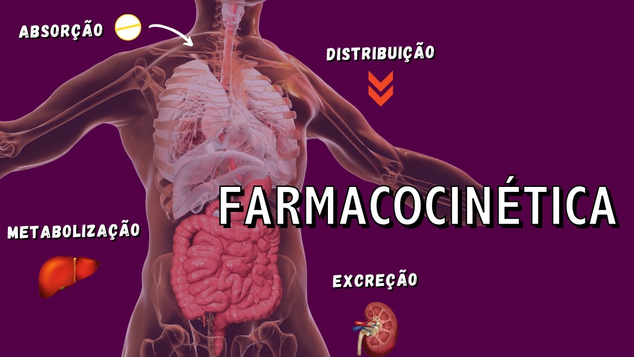 Farmacocin&eacute;tica - Da Absor&ccedil;&atilde;o &agrave; Excre&ccedil;&atilde;o