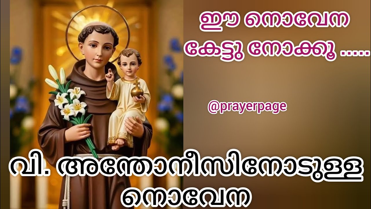 വി. അന്തോനീസിനോടുള്ള നൊവേന🙏✨🕊️🕊️ #prayer #stantony 