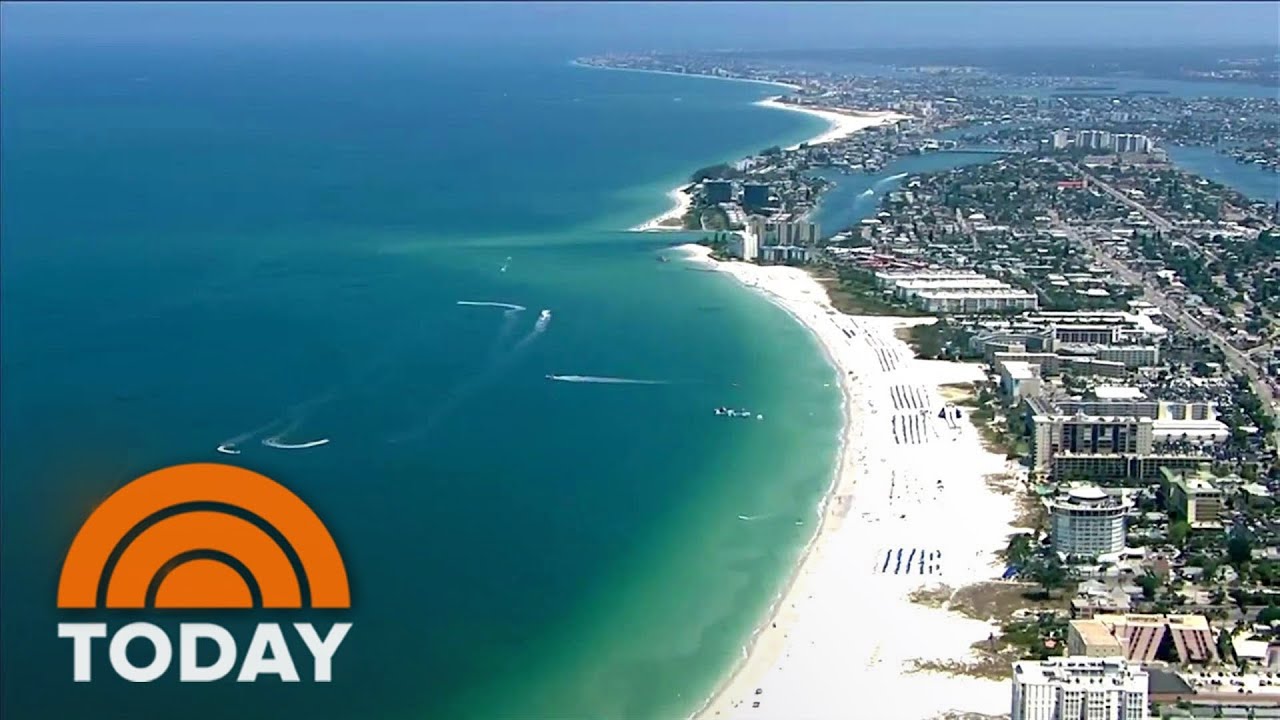 More beaches forced to close amid new shark sightings