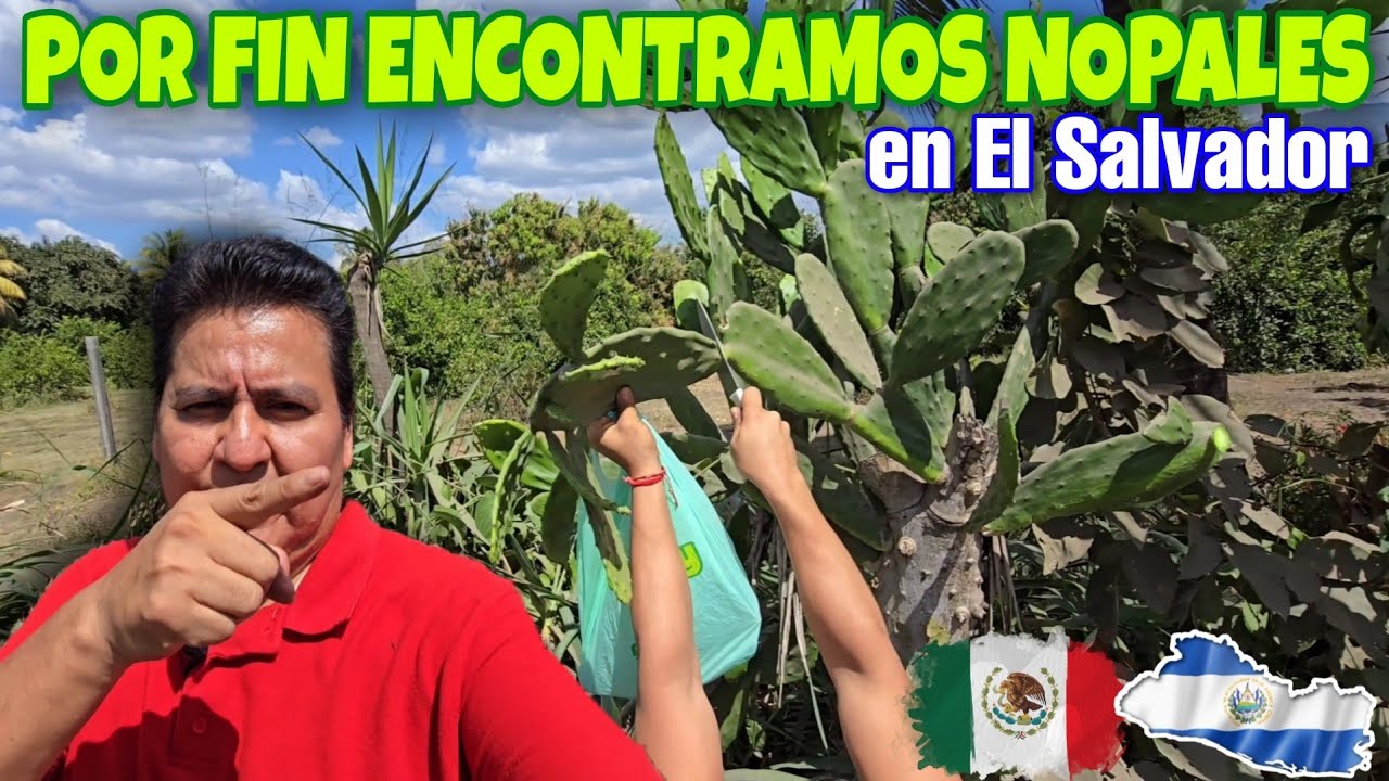 NOPALES!! POR FIN LOS KREMAZ LOS ENCONTRARON