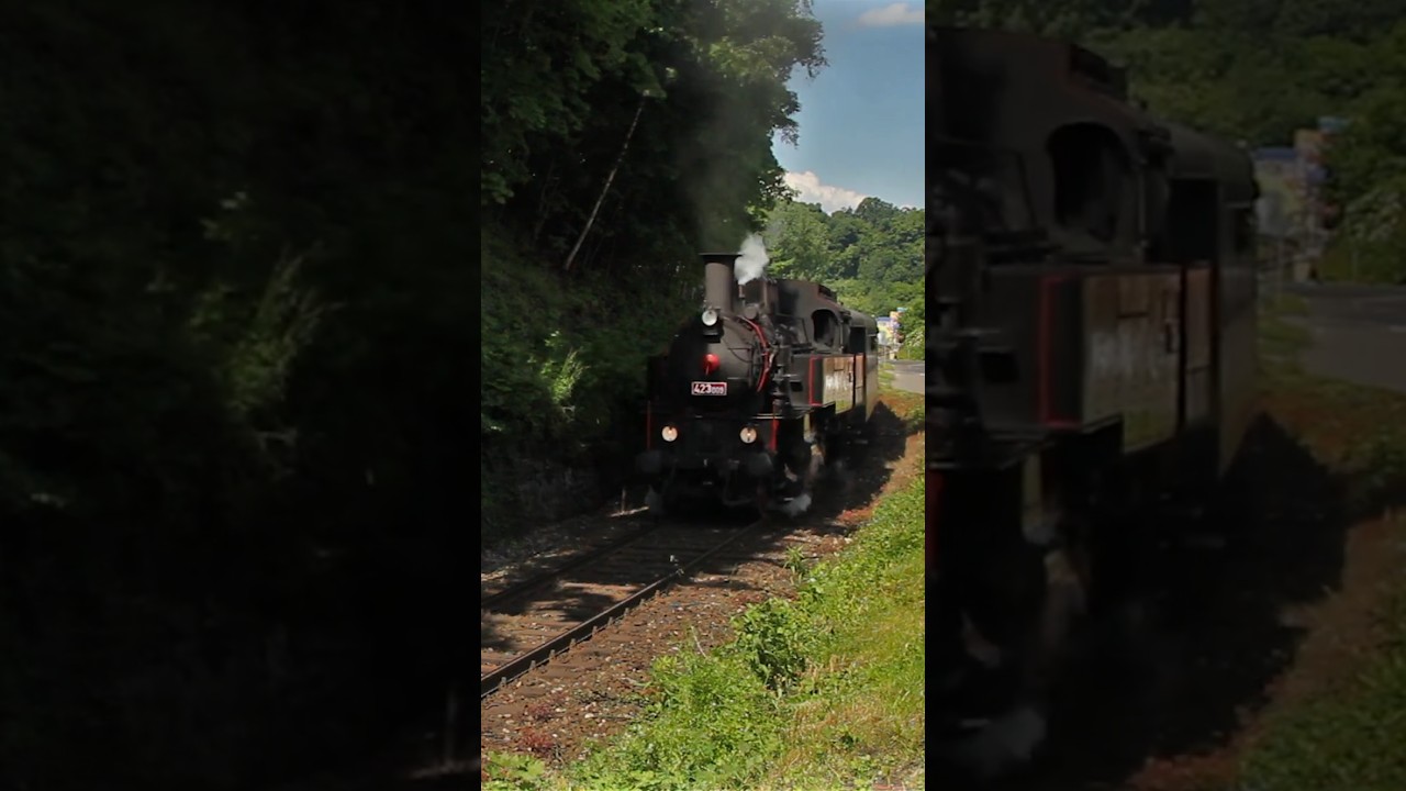 🇨🇿 Parn&iacute; lokomotiva Velk&yacute; bejček 423.009 #vlaky #train #railway #vlak #shorts #steam #history #dampf