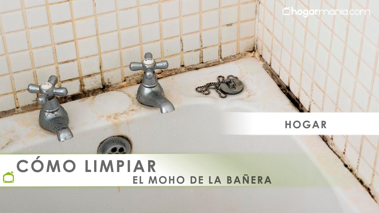 Cómo LIMPIAR el moho de la BAÑERA y los azulejos 🧹 ¡Método fácil y barato! 🧽🛁 Hogarmania
