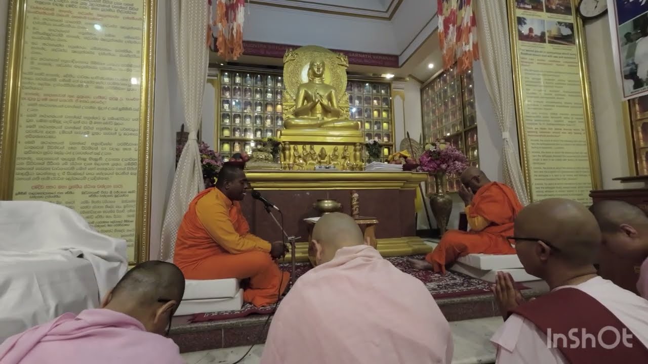 Buddhist Pilgrimage Vlog Series   Day 6 – Sarnath evening at jambhudip srilankan bihar