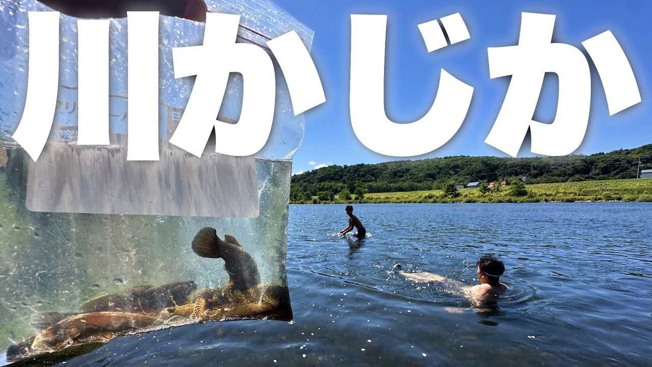 デカ鮎と川かじか