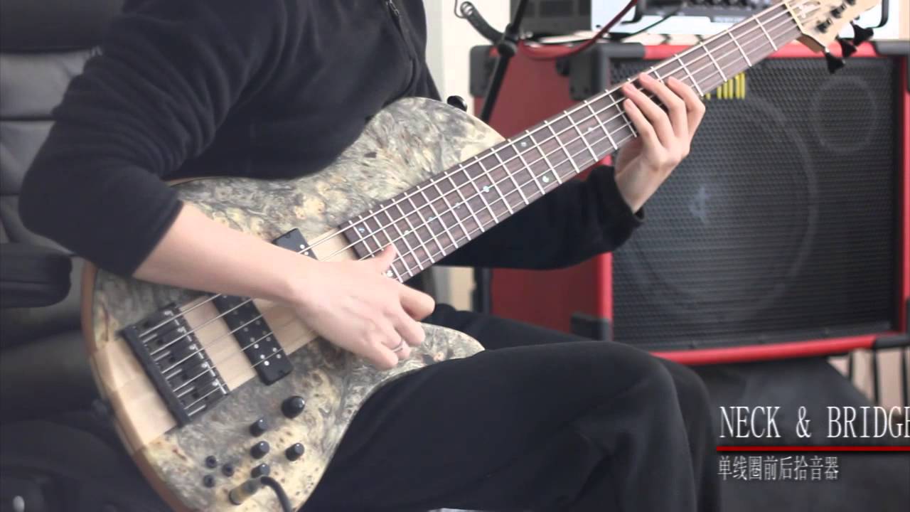 【BNG Music】Fodera Custom