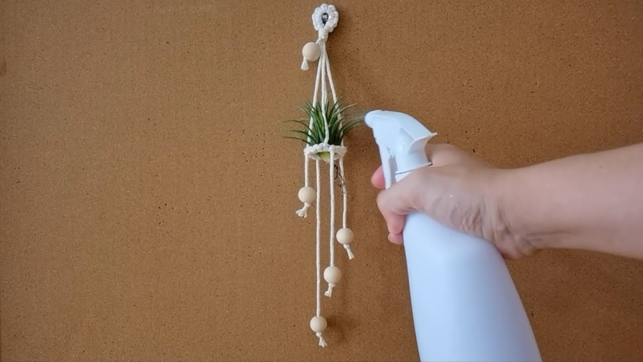 DIY Macrame Air plant hanger