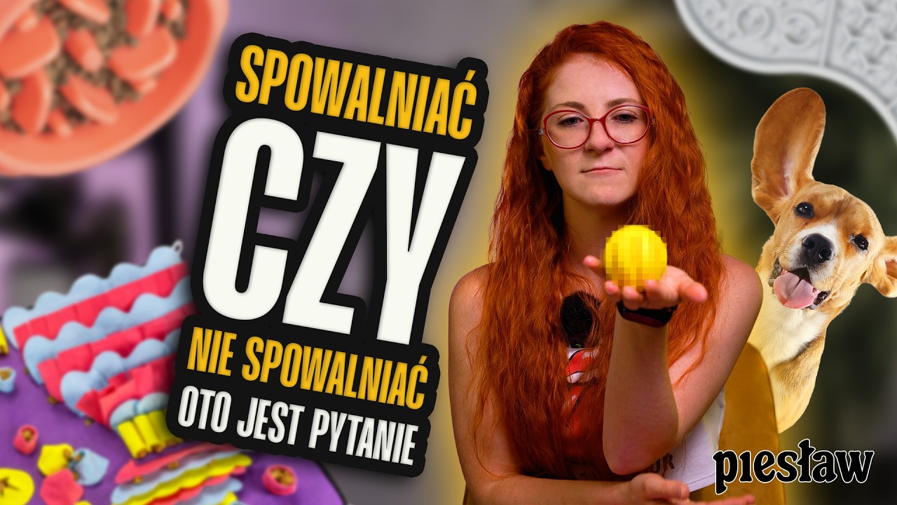 Zaskakujące sposoby karmienia psa które musisz znać 😲🐶