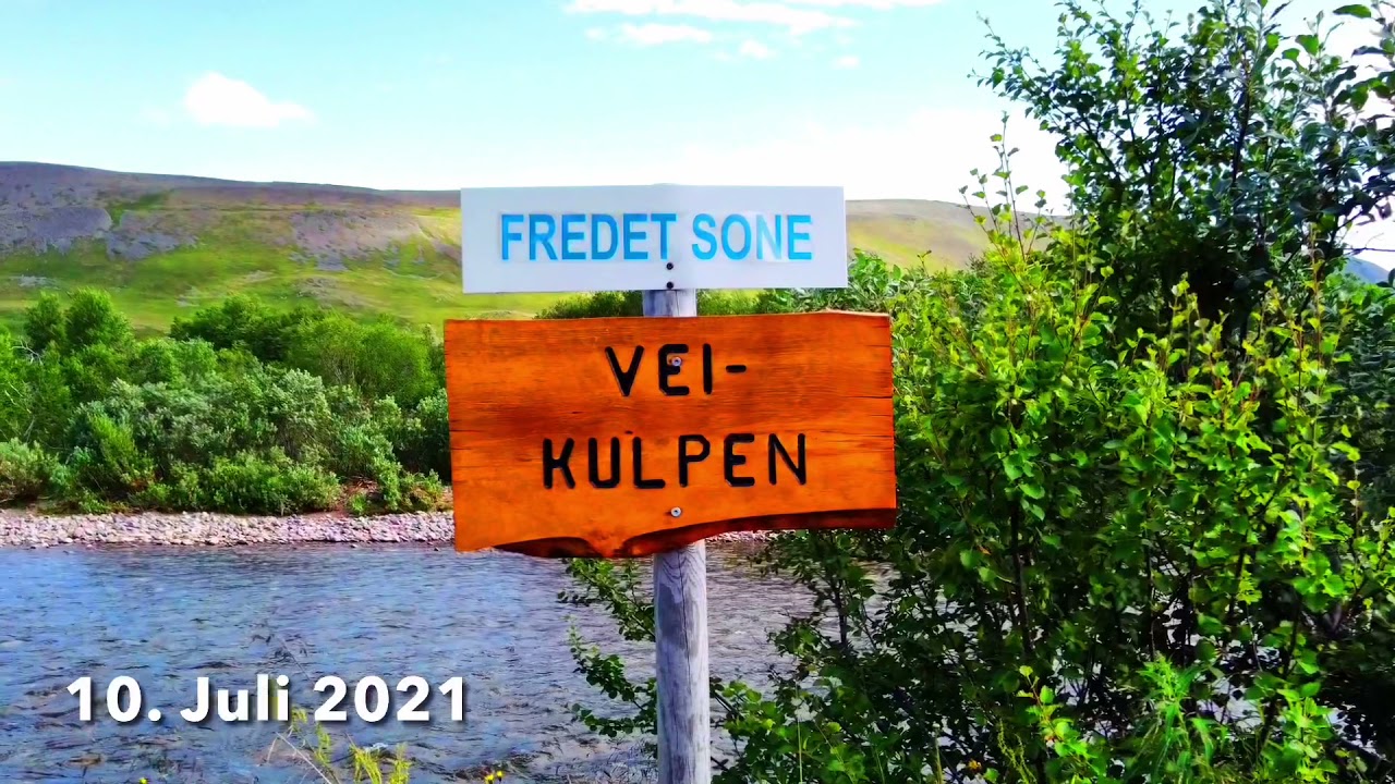 Laksetelling i Syltefjordelva