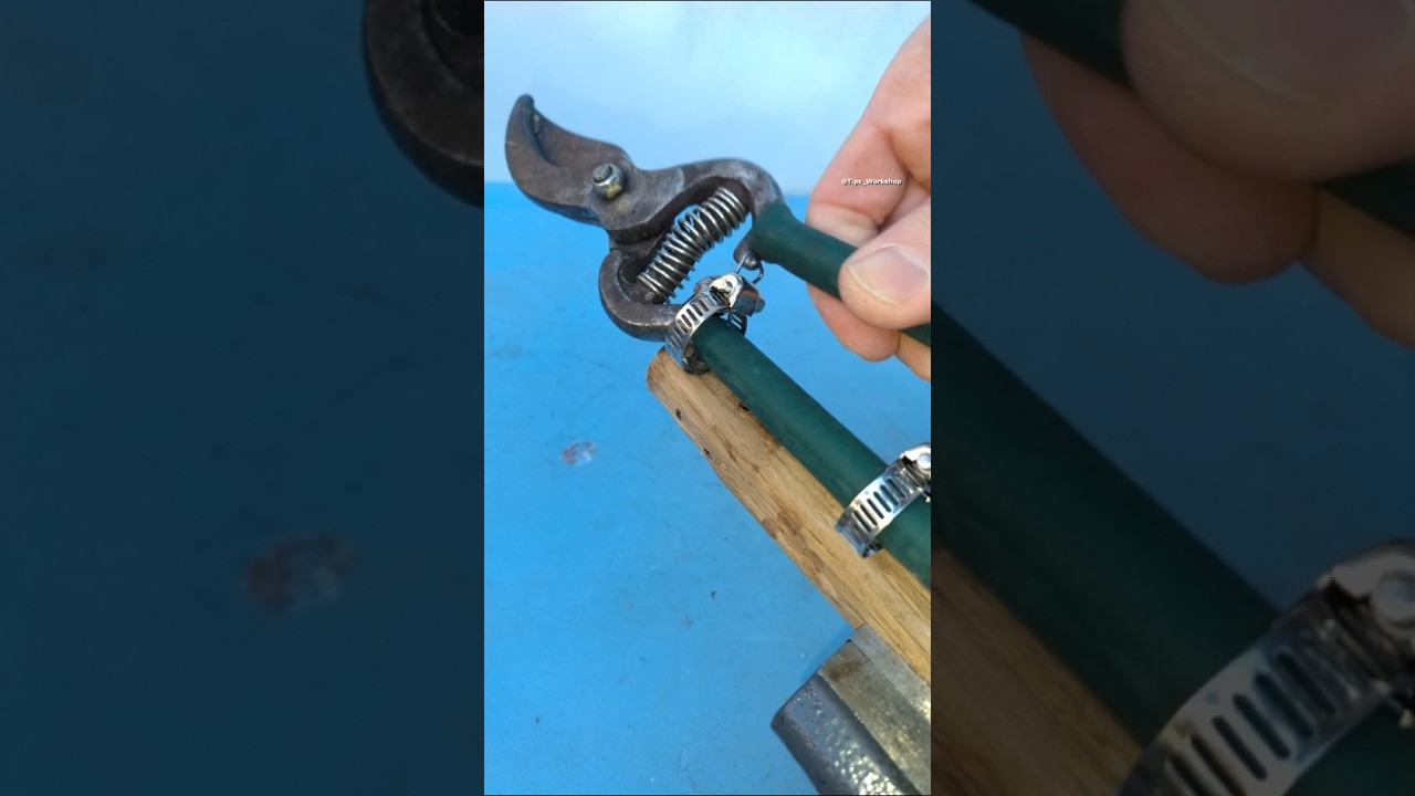 A Great Tips and Tricks to Upgrade Your Old Pruning Shears for Cutting Tall Branches #diy #gardening