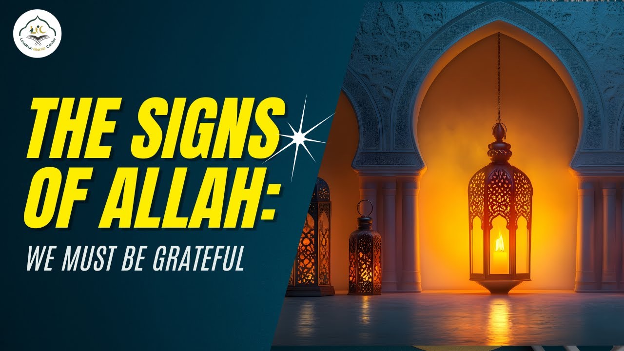 The Signs of Allah: Why We Must Be Grateful | Surah Ar-Rum Reflection