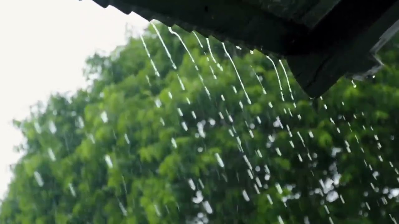 1 hr Heavy Rain on a Metal Roof to Sleep Instantly, Rain Sound & Thunderstorm for Sleeping at Night