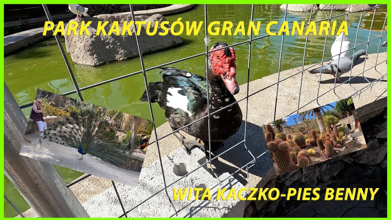 Park Kaktusów Gran Canaria
