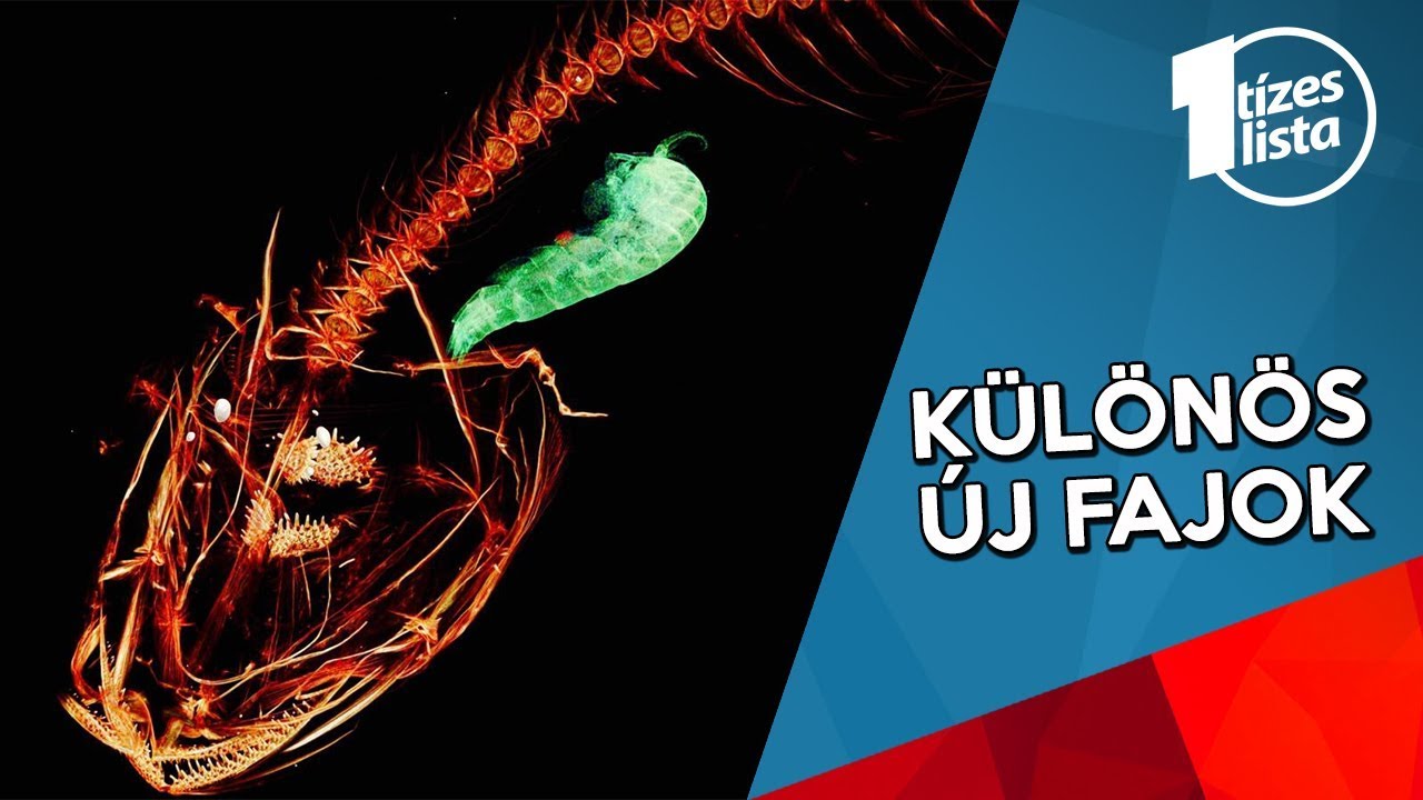 10 Nemrég felfedezett különös faj, amikről még biztosan nem hallottál