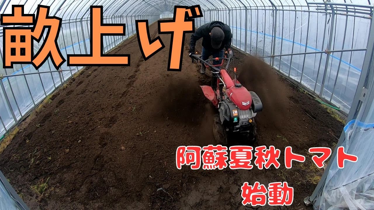 【畝上げ】反収を上げることは、ここから始まる！阿蘇・夏秋トマト！(マイナンバーカードの写真は慎重に選ぼう)