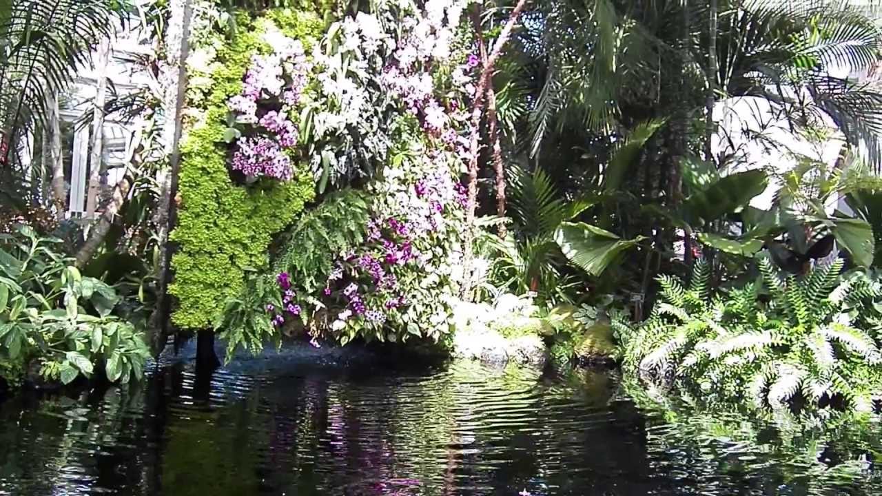 Platrick Blanc Vertical Green Wall Orchids at NYBG 2012