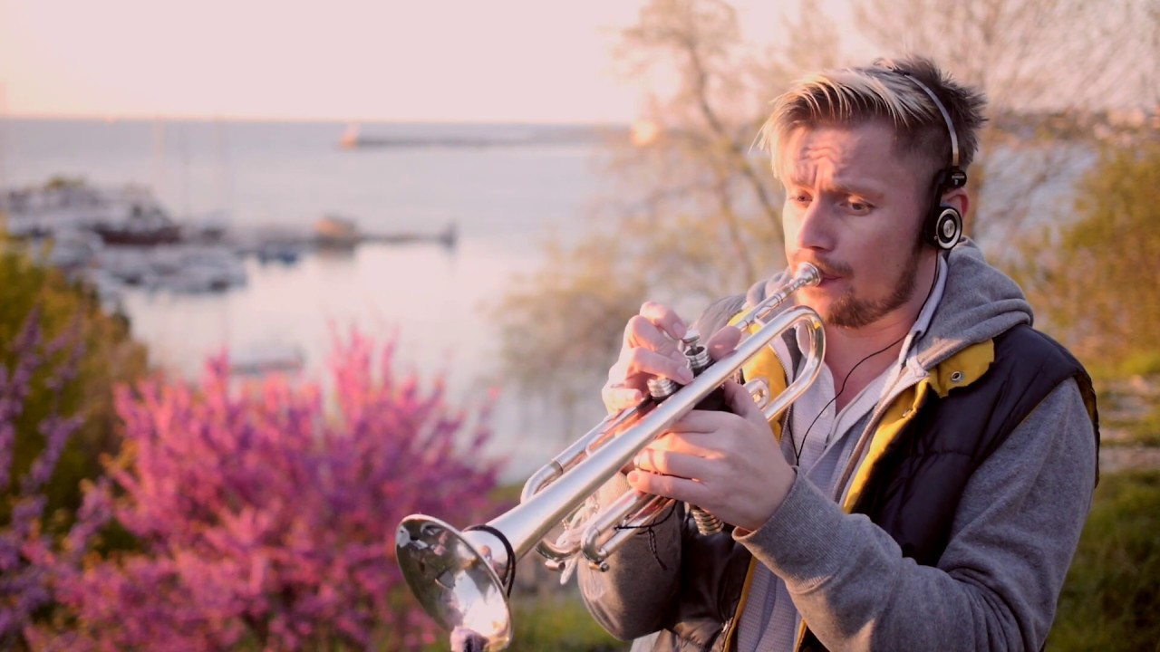 The Shadow Of Your Smile (trumpet) Max Perov