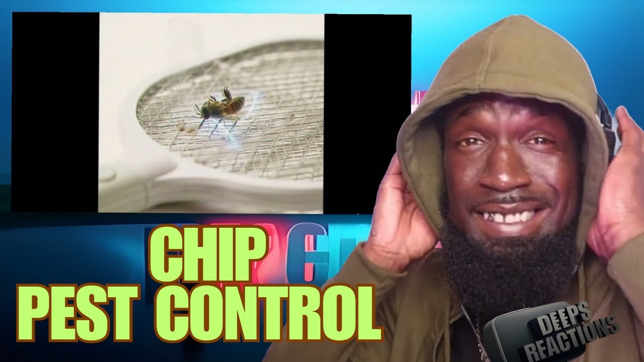CHIP - БОРЬБА С ВРЕДИТЕЛЯМИ (ВИЗУАЛИЗАТОР) DEEPSSPEAKS (РЕАКЦИЯ)