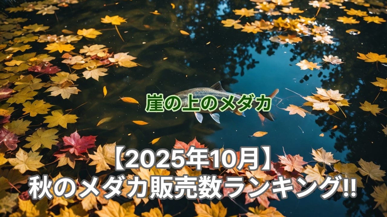 【10月】秋のメダカ人気ランキング！崖の上のメダカでの販売実績を元にTOP10をご紹介！最も人気のめだかは⁉