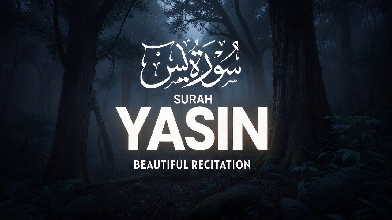 Ramadan Surah Yasin (سورة يس) Full Beautiful Heart Touching Quran Recitation | Calm & Relaxing Quran