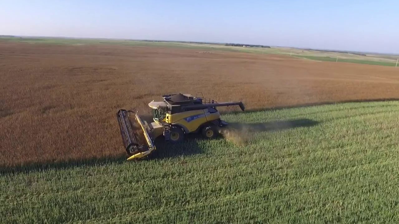 Bettenhausen Farms - Canola Harvest