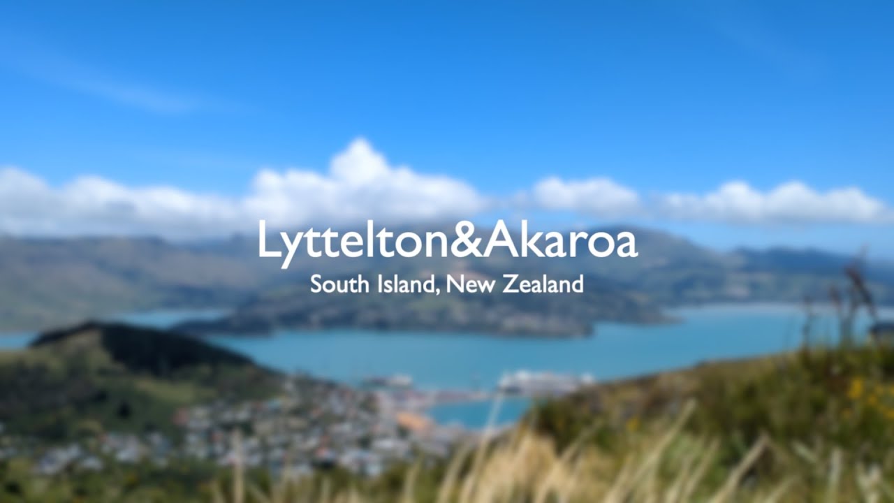 Scenic drive to Lyttelton and Akaroa, Pohatu Penguin Tour