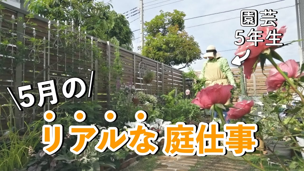 【ガーデニング】これが現実…カオスと向き合う園芸５年生のリセットルーティン｜小さな庭