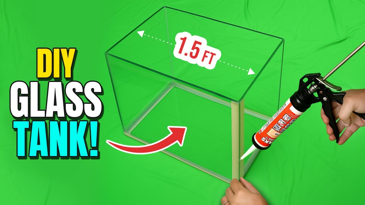 DIY Fish Tank: How to Make a 1.5 Feet Glass Aquarium at Home