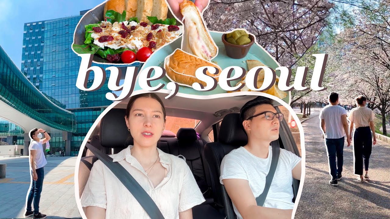 Car Trip to Korea's 'Silicon Valley' 🚙 Goodbye Seoul Cherry Blossoms 🌸 & Healthy Hair ✨ | Korea VLOG